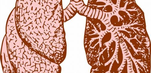 Policy, resources crucial for lung cancer screening, says study